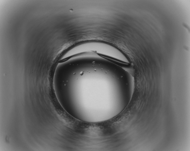 X0000091180256200708161523