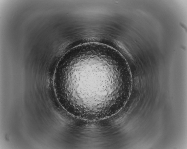 X0000091180259200708161523