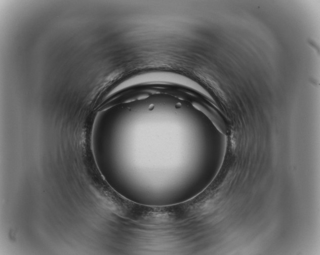 X0000091180260200708161523