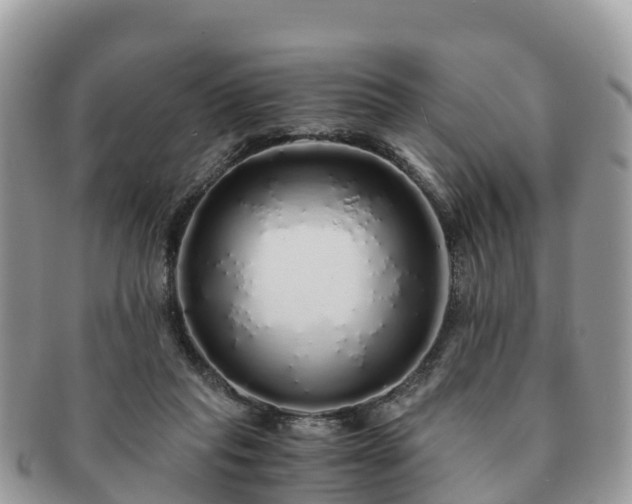 X0000091180261200708161523