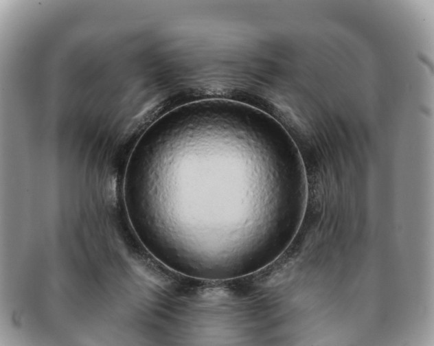 X0000091180262200708161523
