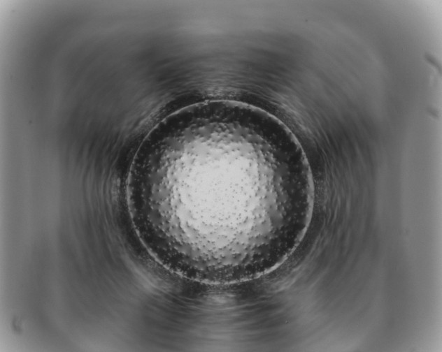 X0000091180263200708161523
