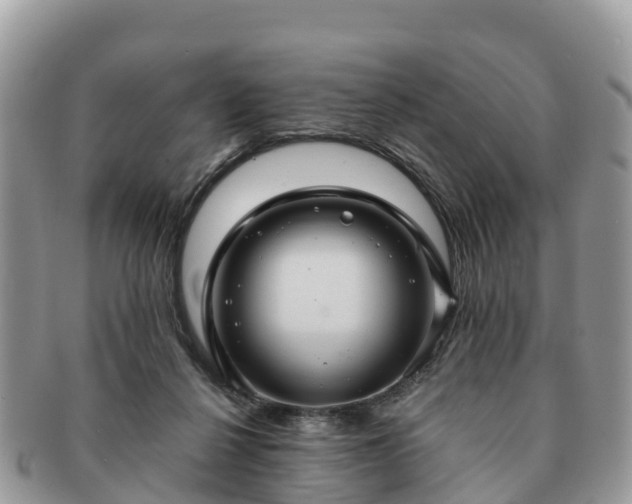 X0000091180264200708161523