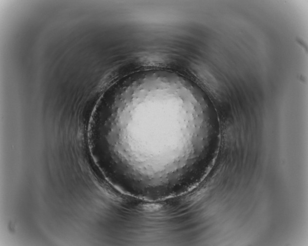 X0000091180265200708161523