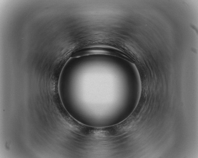 X0000091180268200708161523