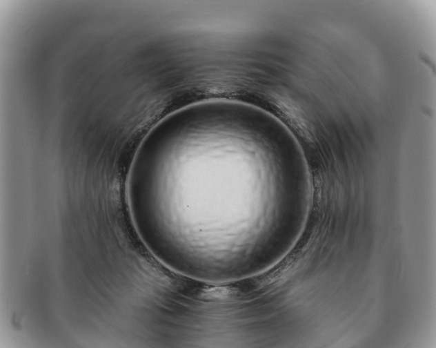 X0000091180269200708161523