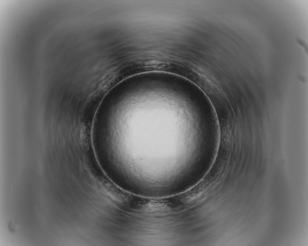 X0000091180270200708161523
