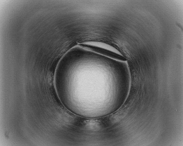 X0000091180273200708161524