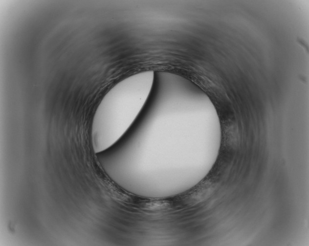 X0000091180274200708161524