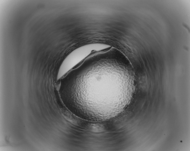 X0000091180275200708161524