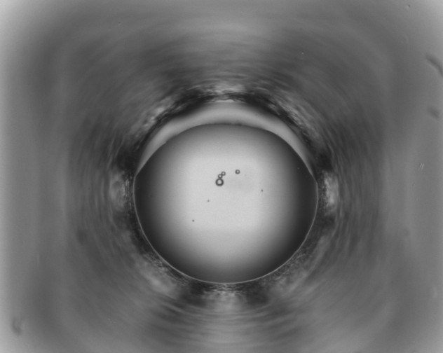 X0000091180276200708161524