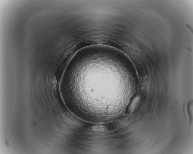 X0000091180279200708161524