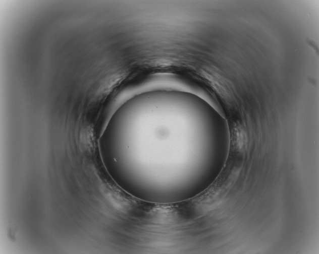 X0000091180280200708161524