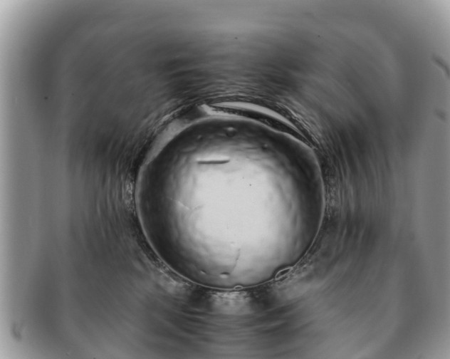 X0000091180281200708161524