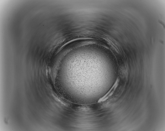 X0000091180284200708161524