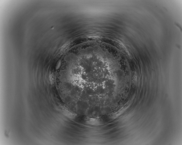 X0000091180285200708161524