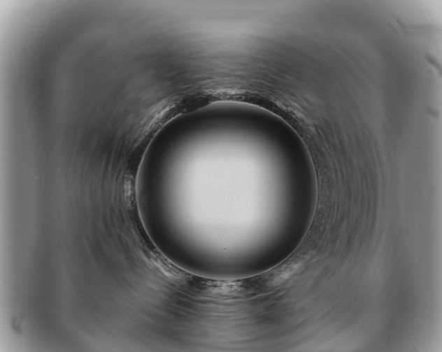 X0000091180288200708161524