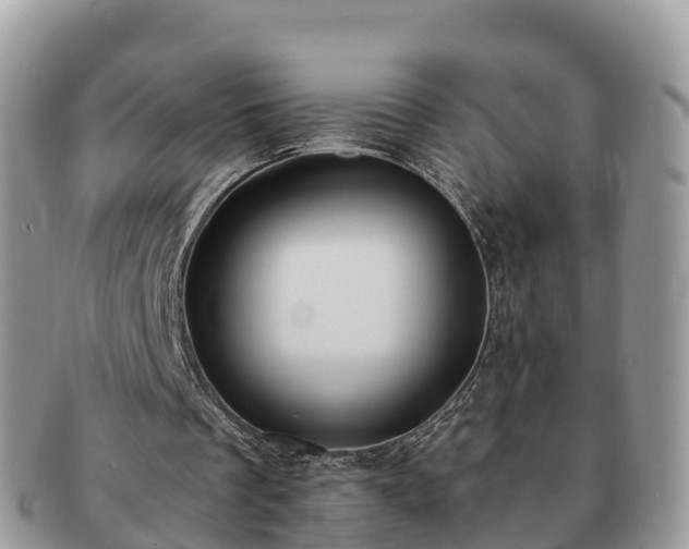 X0000091180289200708161523