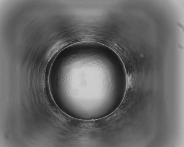 X0000091180291200708161523