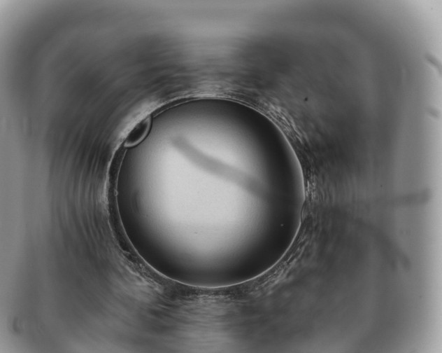 X0000091180292200708161523