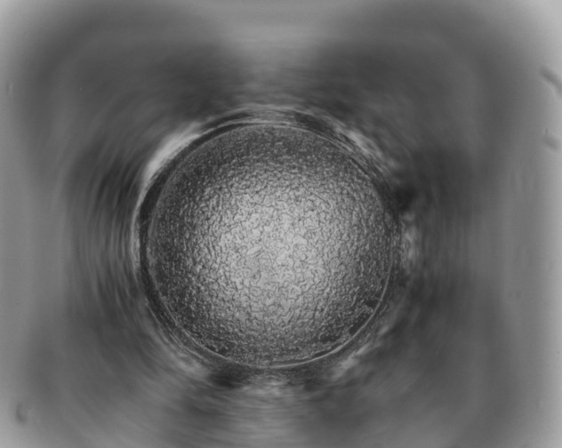 X0000091180294200708161523