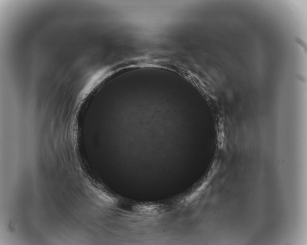 X0000091180295200708161523