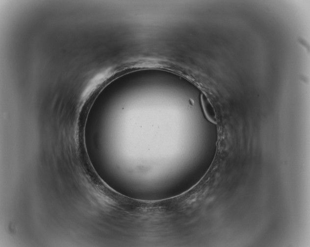 X0000091180296200708161523