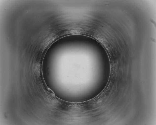 X0000091180297200708161523