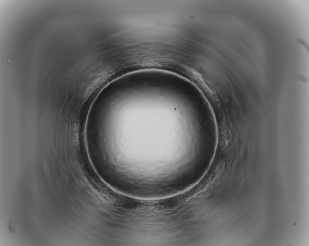 X0000091180299200708161523