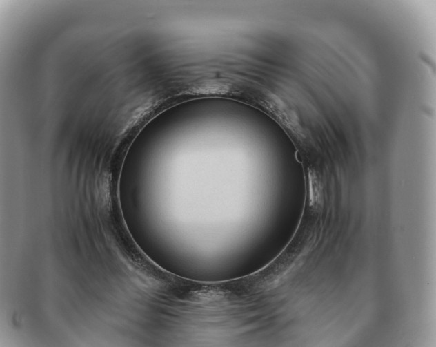 X0000091180300200708161523