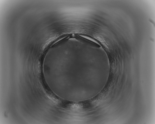 X0000091180303200708161523