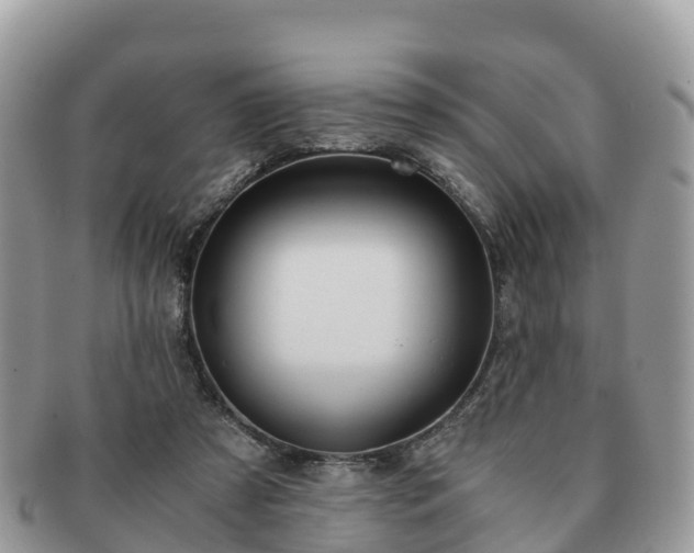 X0000091180305200708161523