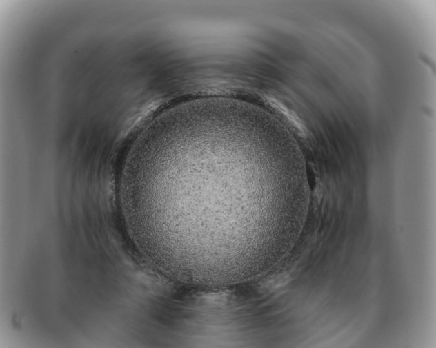 X0000091180306200708161523