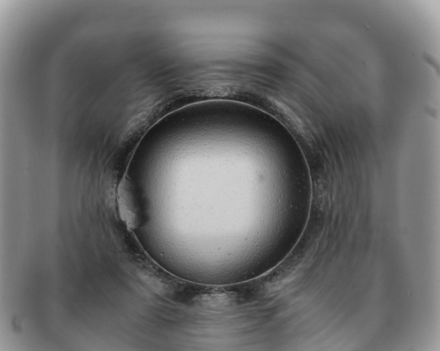 X0000091180307200708161523