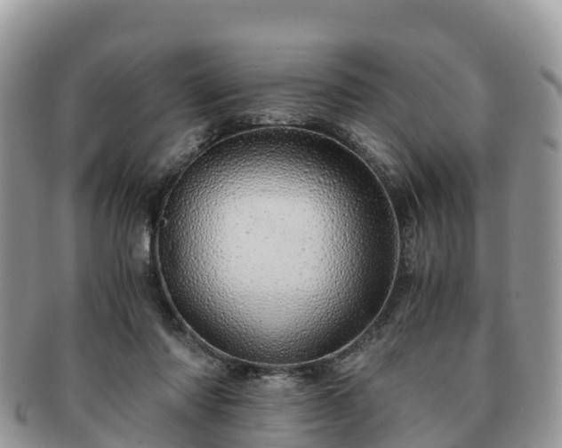 X0000091180310200708161523