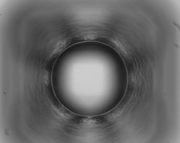 X0000091180311200708161523