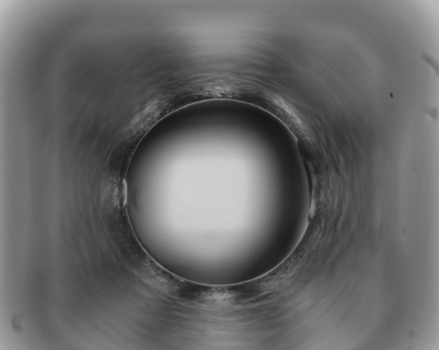 X0000091180313200708161523