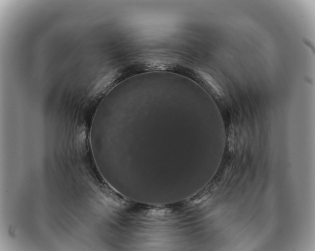 X0000091180314200708161523
