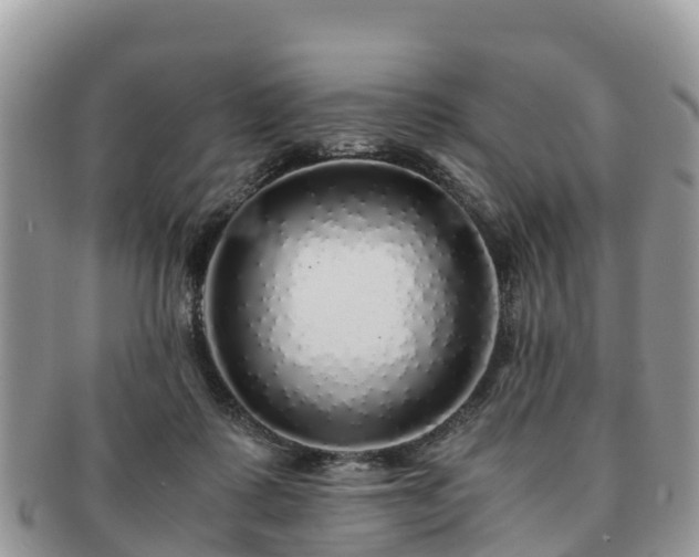 X0000091180315200708161523