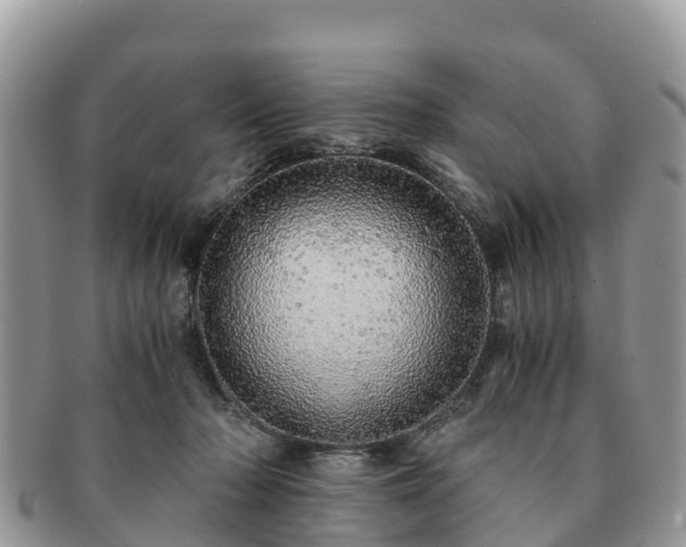X0000091180318200708161523