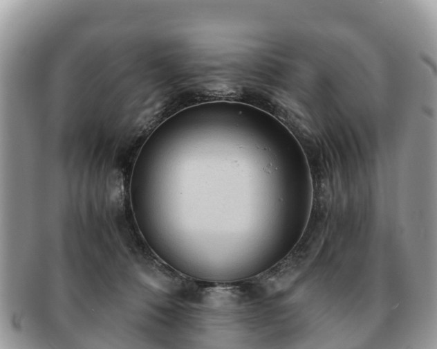 X0000091180320200708161523