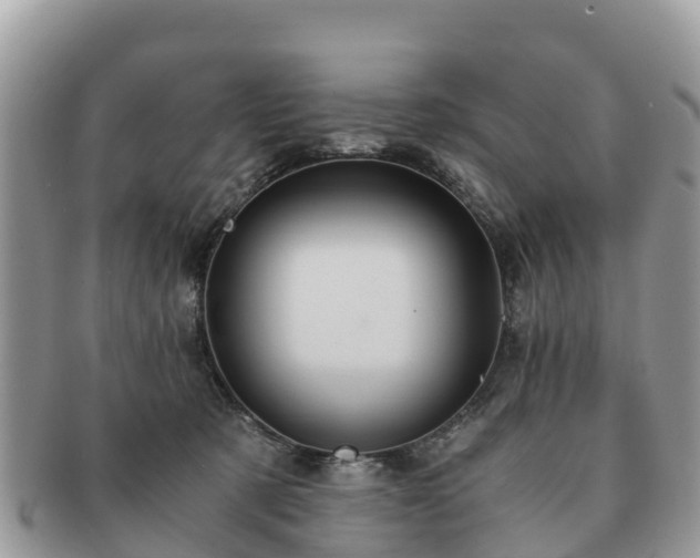 X0000091180321200708161523
