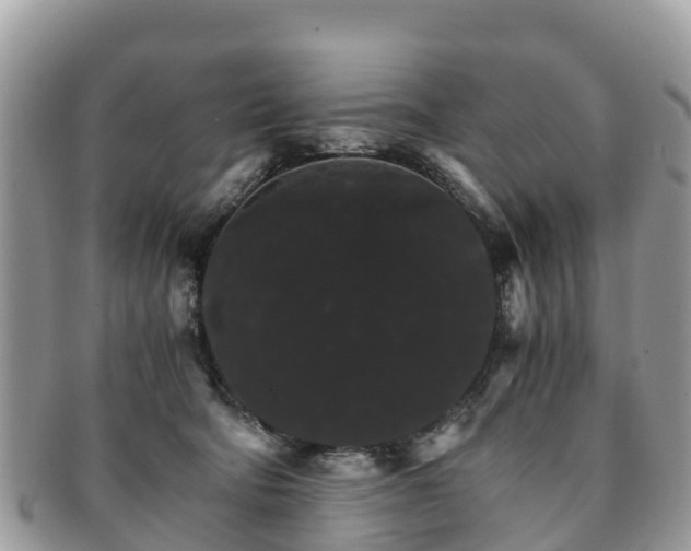 X0000091180322200708161523