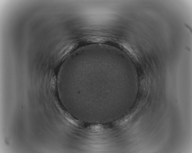 X0000091180325200708161523