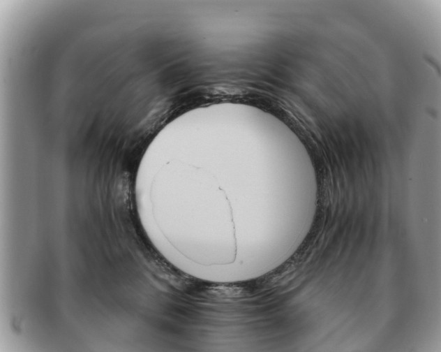 X0000091180328200708161523