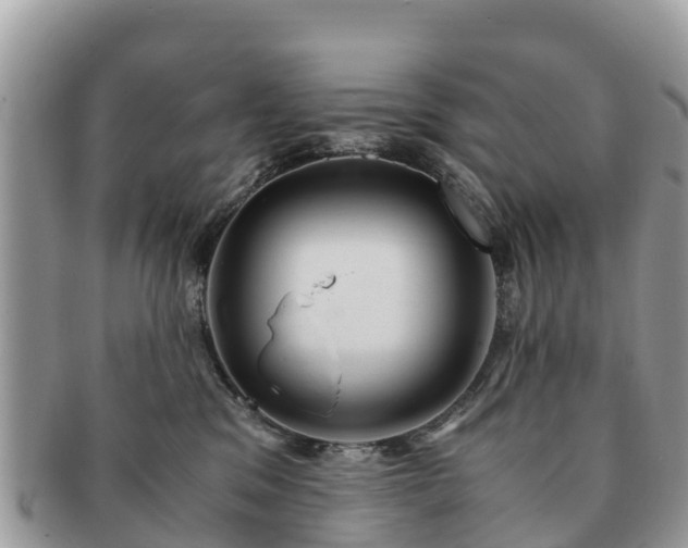 X0000091180329200708161523
