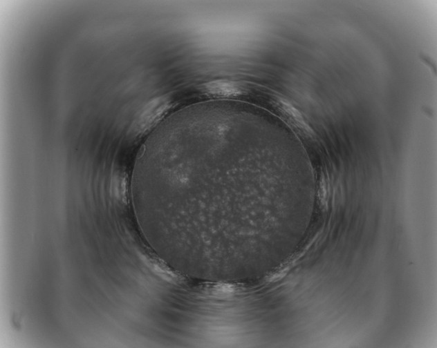 X0000091180330200708161523