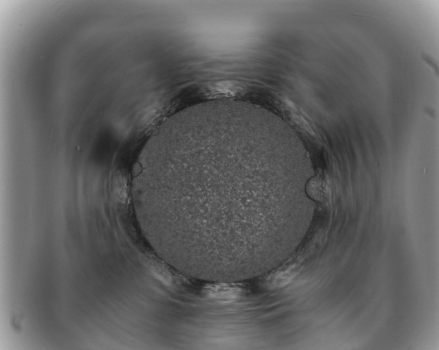 X0000091180331200708161523