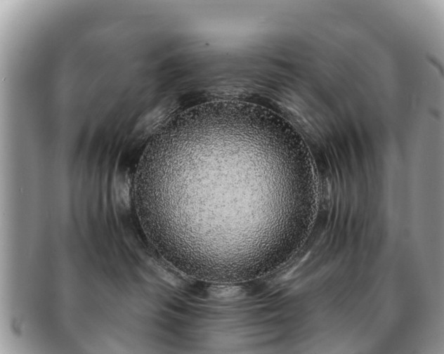 X0000091180334200708161523
