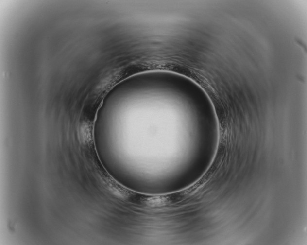 X0000091180335200708161523